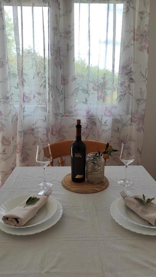 Apartmani Knezevic 포세다르예 외부 사진